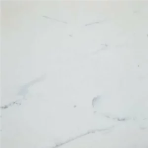 Calacatta Gold Supreme Polished Marble Tile 24x24