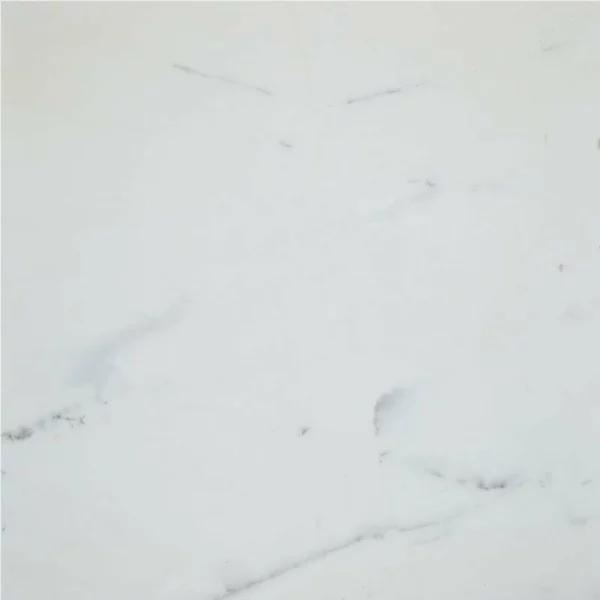 Calacatta Gold Supreme Polished Marble Tile 24x24