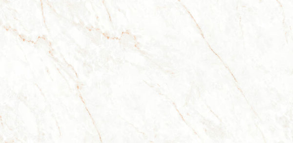 Calacatta Glam Polished 24x48 (9 MM) - $11.25 per sq. ft., $174.40 per box