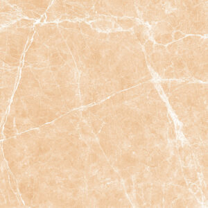 Terre Beige Polished 24x48 (11 MM) - $11.25 per sq. ft., $174.40 per box