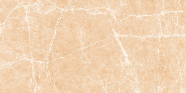 Terre Beige Polished 24x48 (11 MM) - $11.25 per sq. ft., $174.40 per box