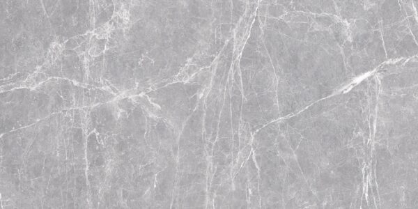 Terre Grey Polished 24x48 (11 MM) - $11.25 per sq. ft., $174.40 per box